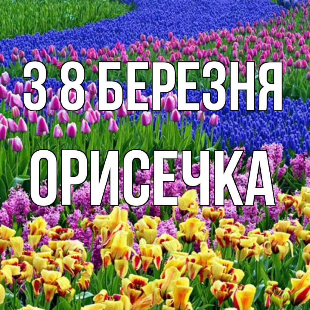 Открытка на каждый день з підписом, Орисечка З 8 БЕРЕЗНЯ цветы Прикольна листівка з побажанням онлайн скачати безкоштовно 