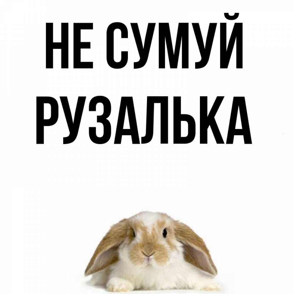 Открытка на каждый день з підписом, Рузалька Не сумуй коричнево белый заяц с большими ушками Прикольна листівка з побажанням онлайн скачати безкоштовно 