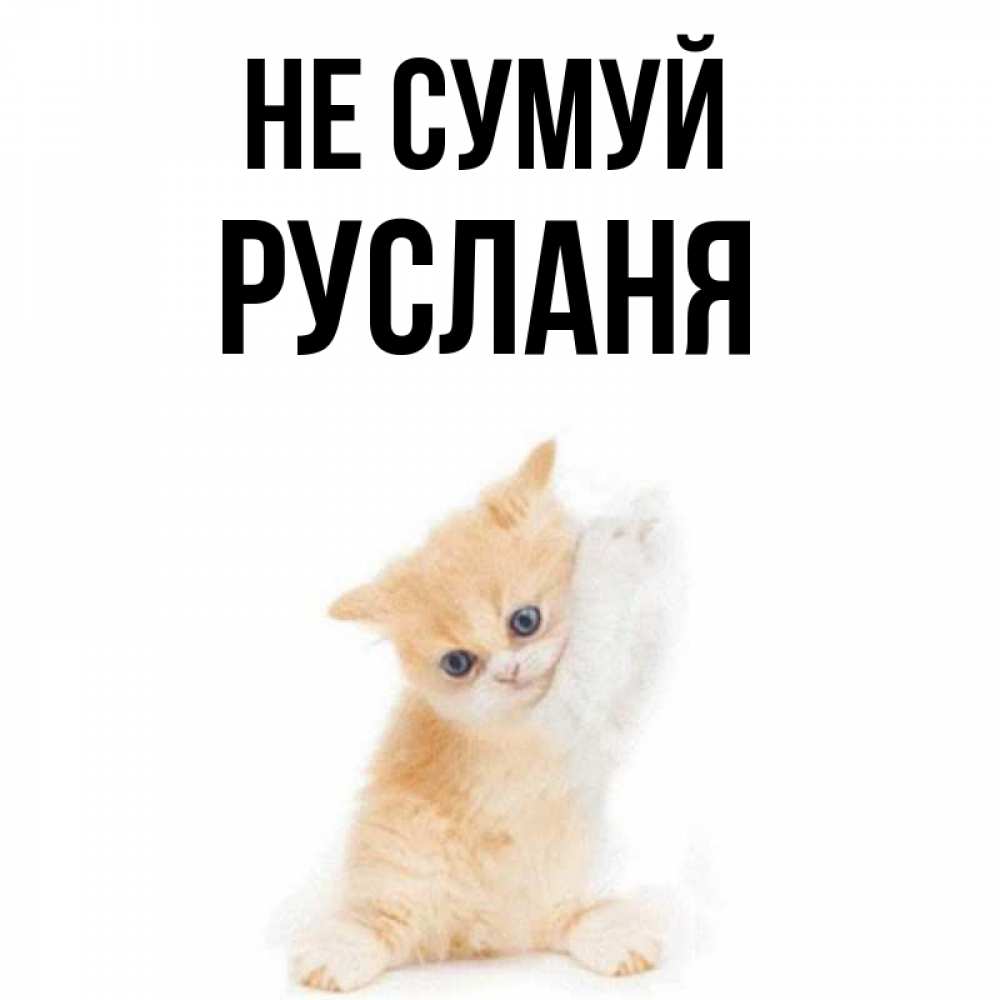 Открытка на каждый день з підписом, Русланя Не сумуй просящий кот Прикольна листівка з побажанням онлайн скачати безкоштовно 