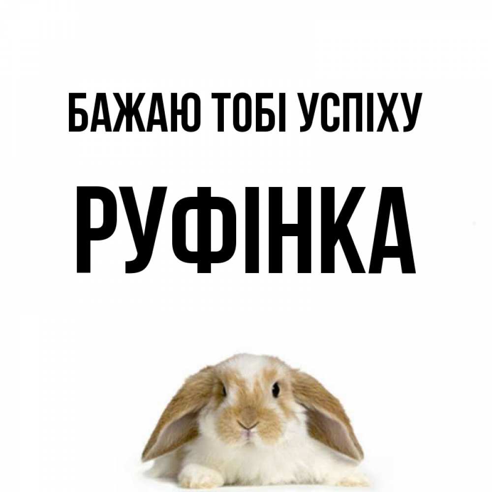 Открытка на каждый день з підписом, Руфінка Бажаю тобі успіху открытки с произвольным текстом который можно вставить в открытку и создать ее самостоятельно бесплатно онлайн Прикольна листівка з побажанням онлайн скачати безкоштовно 