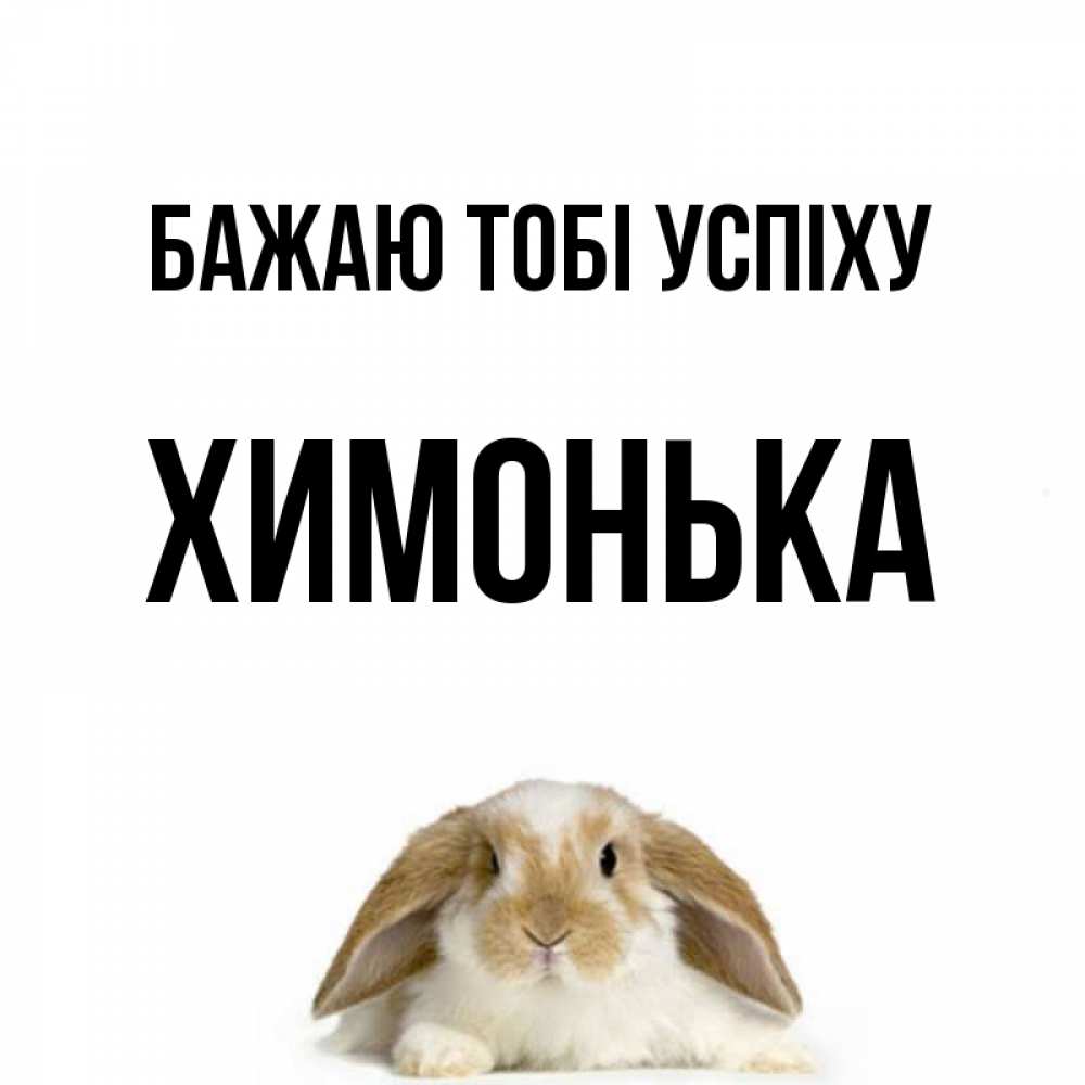 Открытка на каждый день з підписом, Химонька Бажаю тобі успіху открытки с произвольным текстом который можно вставить в открытку и создать ее самостоятельно бесплатно онлайн Прикольна листівка з побажанням онлайн скачати безкоштовно 