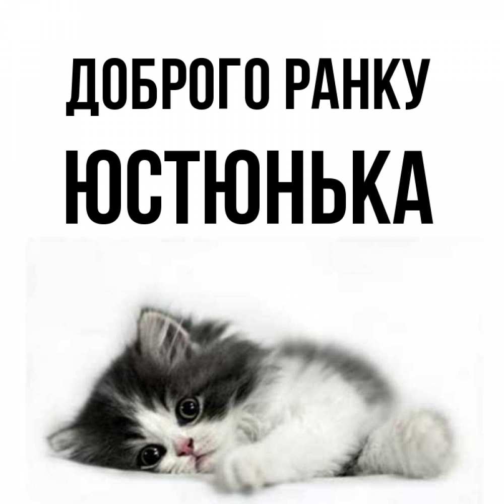 Открытка на каждый день з підписом, Юстюнька Доброго ранку кот лапки Прикольна листівка з побажанням онлайн скачати безкоштовно 