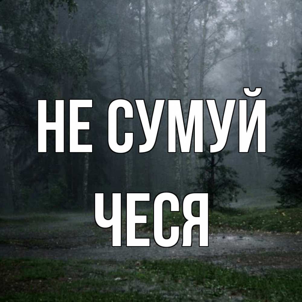 Открытка на каждый день з підписом, Чеся Не сумуй осень Прикольна листівка з побажанням онлайн скачати безкоштовно 
