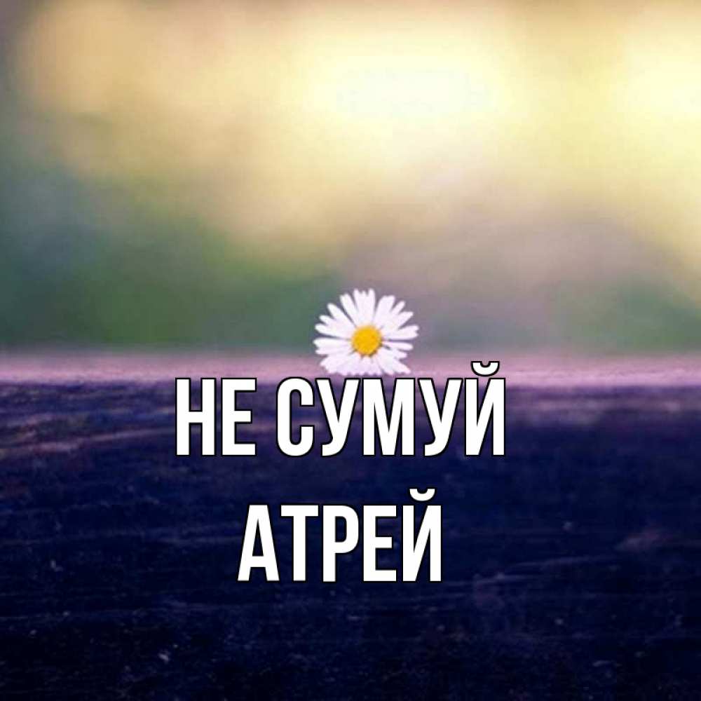 Открытка на каждый день з підписом, Атрей Не сумуй красота Прикольна листівка з побажанням онлайн скачати безкоштовно 