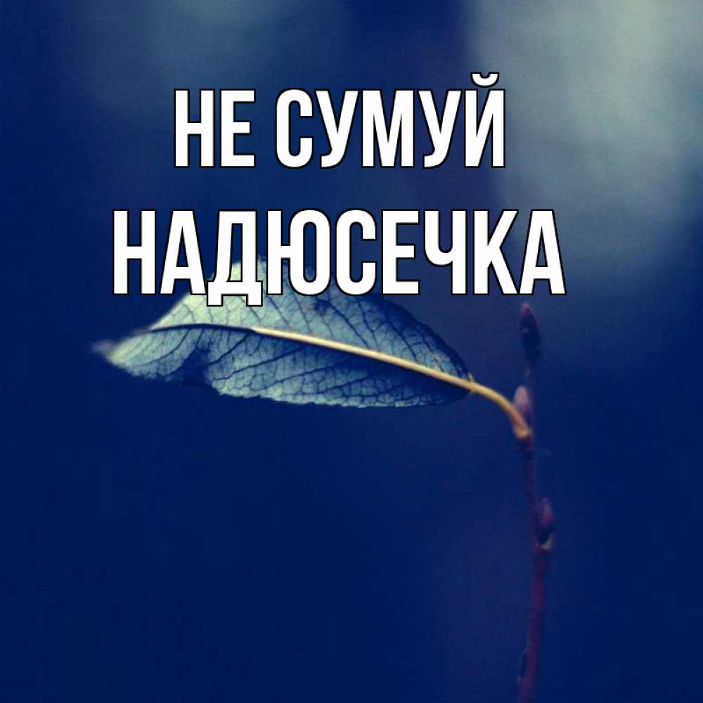 Открытка на каждый день з підписом, Надюсечка Не сумуй растение Прикольна листівка з побажанням онлайн скачати безкоштовно 