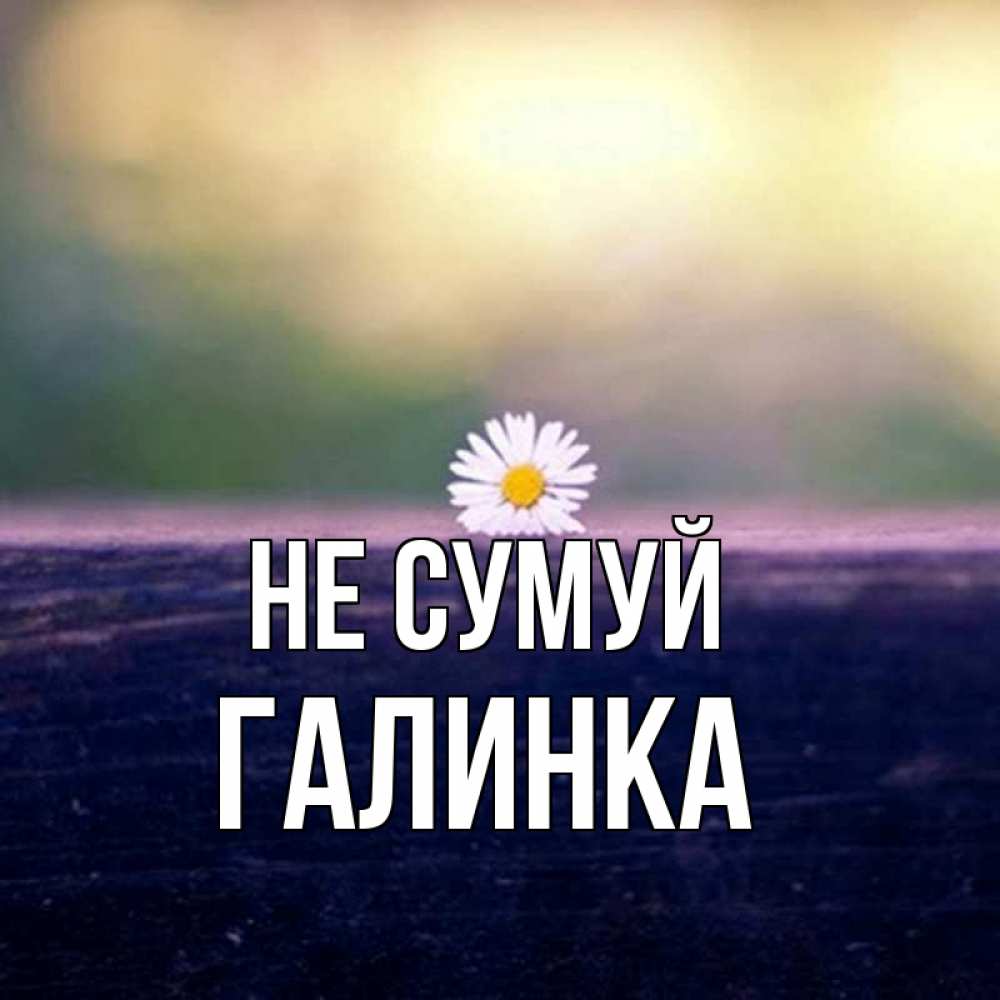 Открытка на каждый день з підписом, Галинка Не сумуй красота Прикольна листівка з побажанням онлайн скачати безкоштовно 