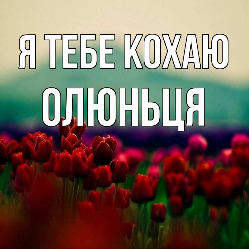Открытка на каждый день з підписом, Олюньця Я тебе кохаю тюльпаны 4 Прикольна листівка з побажанням онлайн скачати безкоштовно 