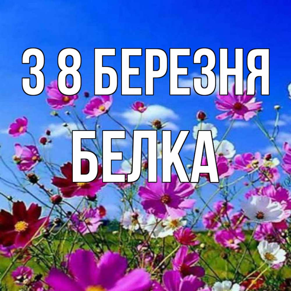 Открытка на каждый день з підписом, Белка З 8 БЕРЕЗНЯ цветы Прикольна листівка з побажанням онлайн скачати безкоштовно 