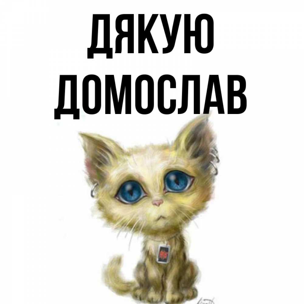 Открытка на каждый день з підписом, Домослав Дякую рисованный кот благодарит вас Прикольна листівка з побажанням онлайн скачати безкоштовно 
