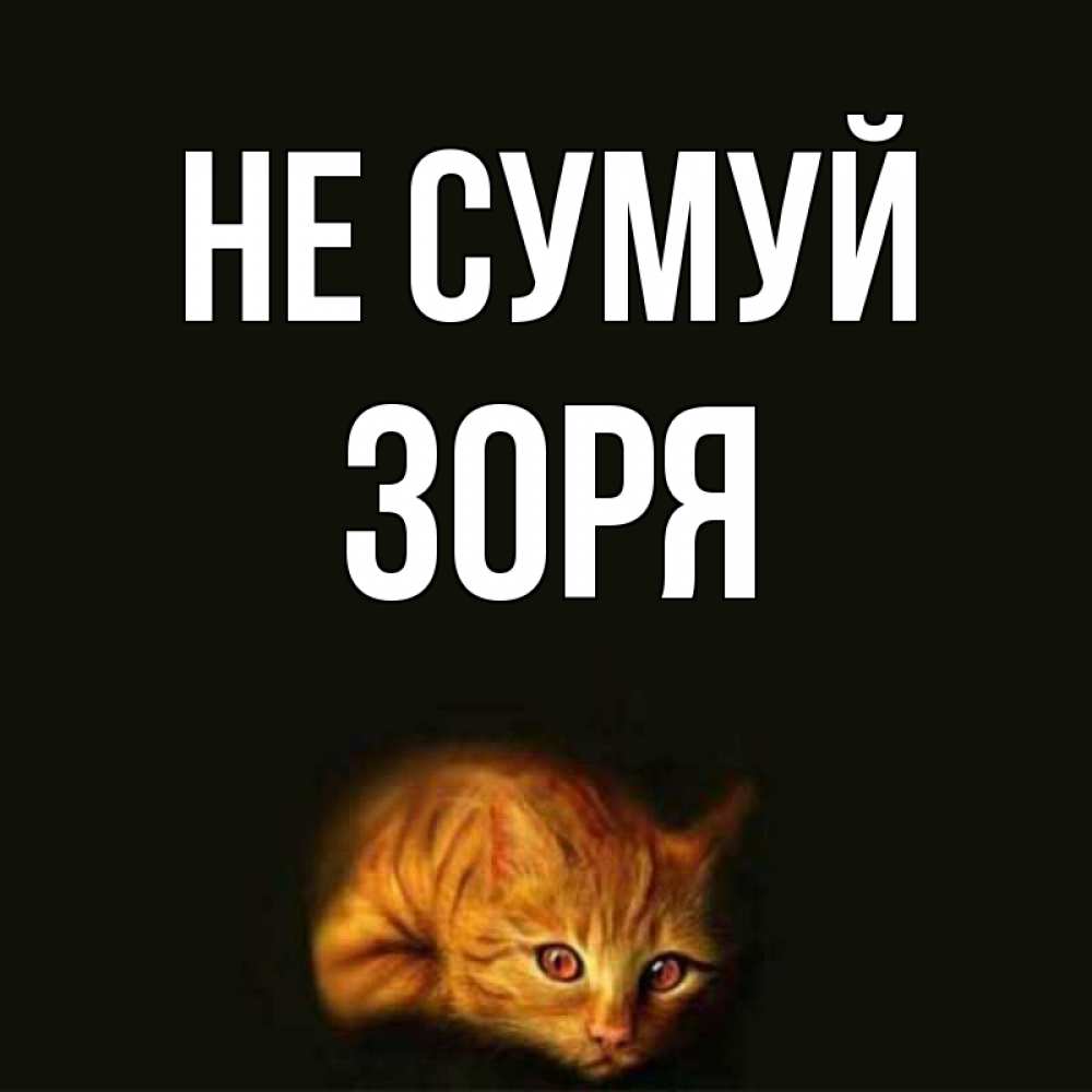 Открытка на каждый день з підписом, Зоря Не сумуй лежащий кот в темноте Прикольна листівка з побажанням онлайн скачати безкоштовно 
