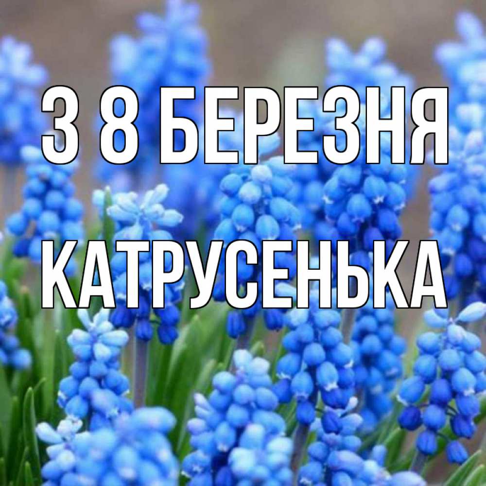 Открытка на каждый день з підписом, Катрусенька З 8 БЕРЕЗНЯ Поздравительная открытка для женщин с цветами на праздничную дату Прикольна листівка з побажанням онлайн скачати безкоштовно 