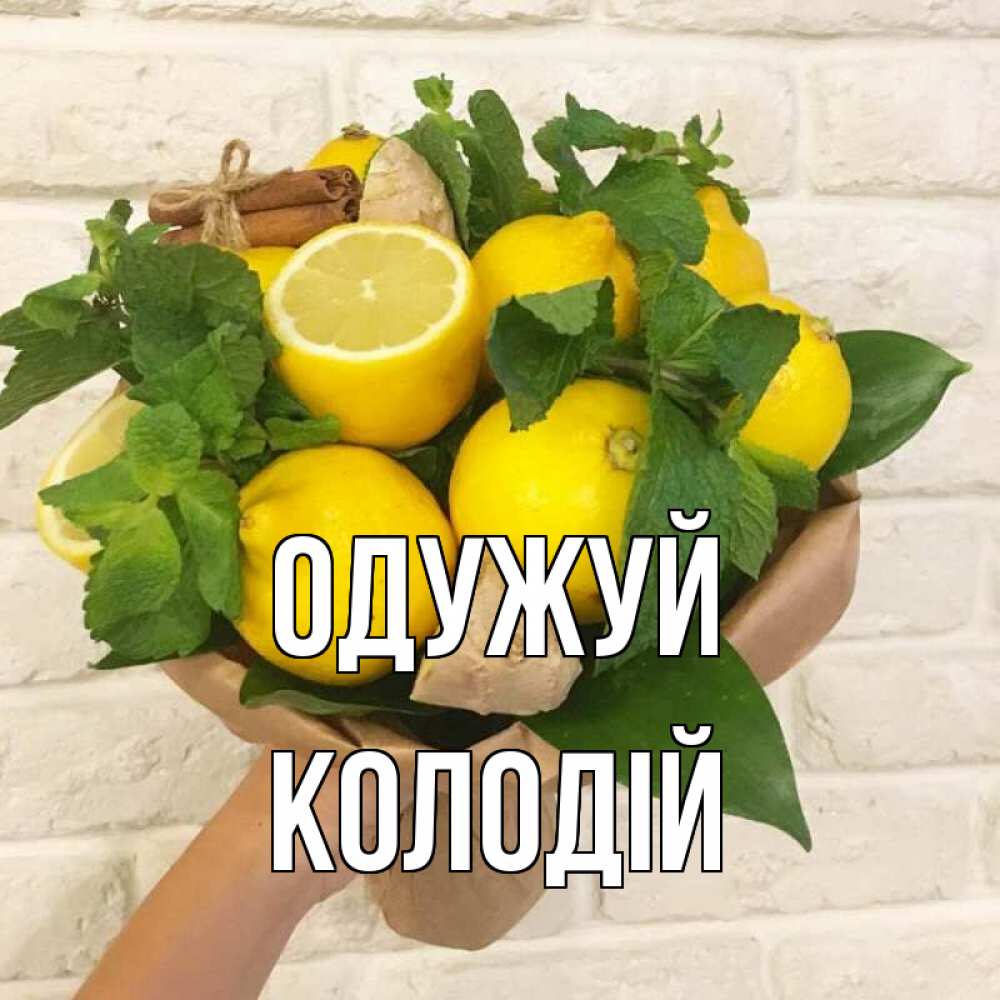 Открытка на каждый день з підписом, Колодій Одужуй витамины Прикольна листівка з побажанням онлайн скачати безкоштовно 