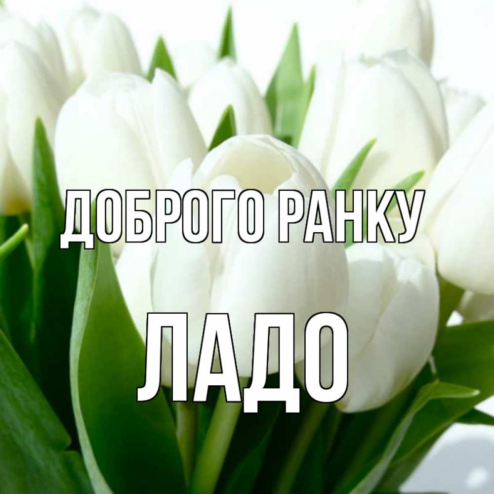 Открытка на каждый день з підписом, Ладо Доброго ранку открытки на каждый день по именам Прикольна листівка з побажанням онлайн скачати безкоштовно 