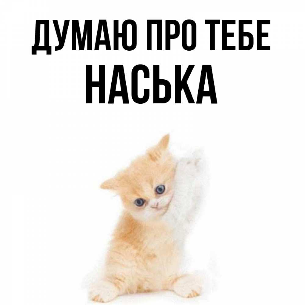 Открытка на каждый день з підписом, Наська Думаю про тебе зверушки и милота Прикольна листівка з побажанням онлайн скачати безкоштовно 