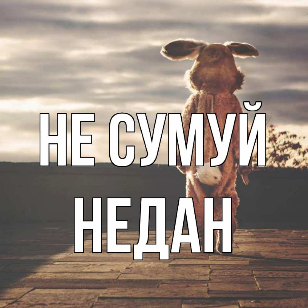 Открытка на каждый день з підписом, Недан Не сумуй со спины Прикольна листівка з побажанням онлайн скачати безкоштовно 