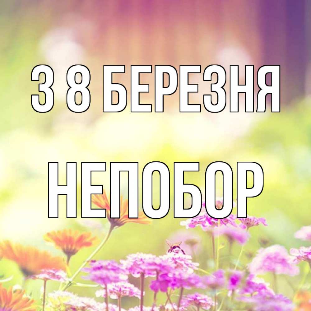Открытка на каждый день з підписом, Непобор З 8 БЕРЕЗНЯ цветы весна Прикольна листівка з побажанням онлайн скачати безкоштовно 