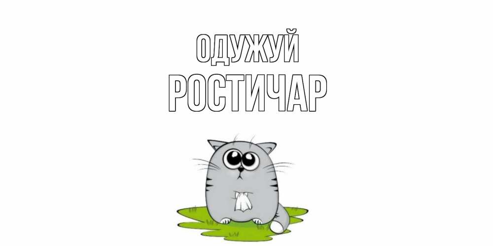 Открытка на каждый день з підписом, Ростичар Одужуй кот и открытки про выздоровление Прикольна листівка з побажанням онлайн скачати безкоштовно 