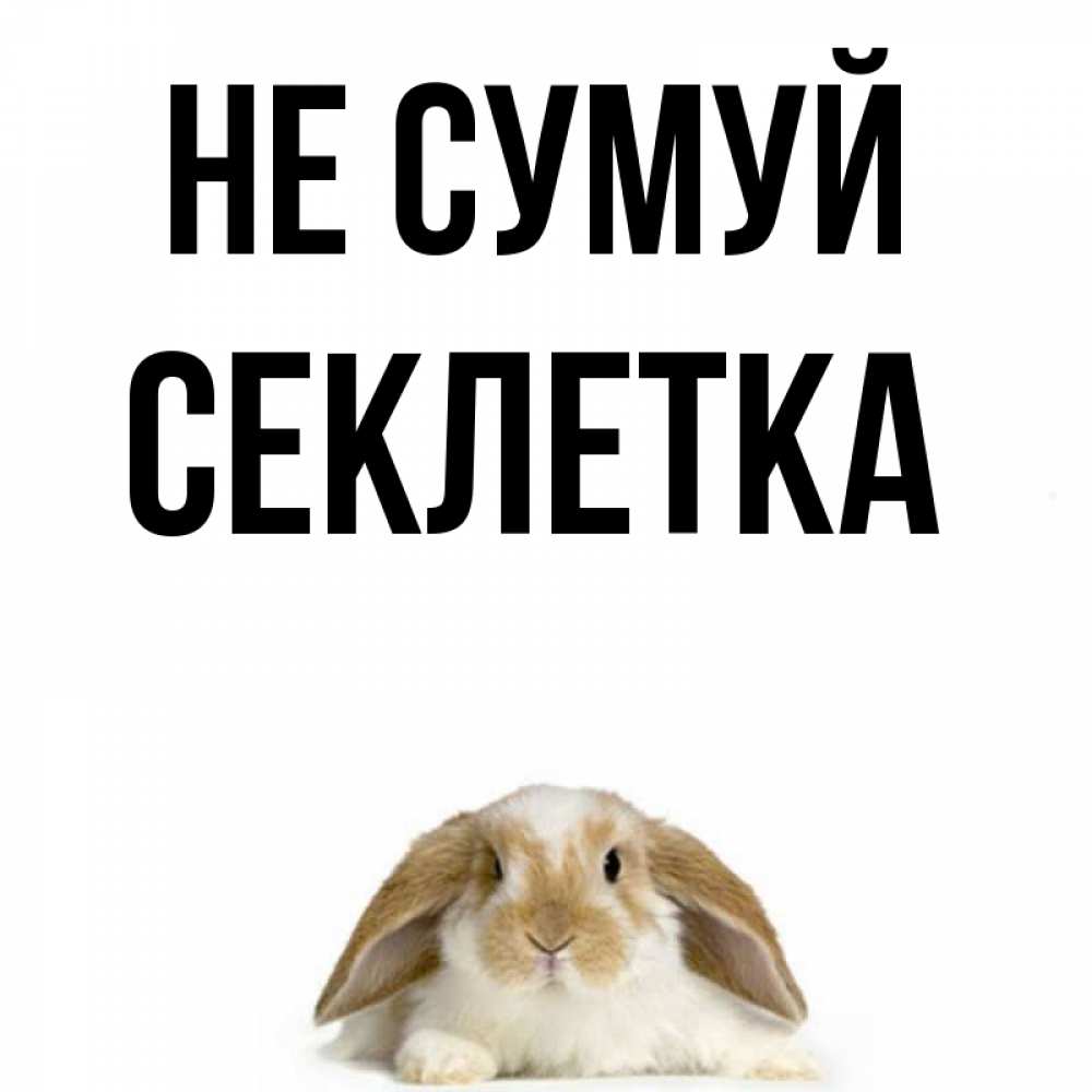 Открытка на каждый день з підписом, Секлетка Не сумуй коричнево белый заяц с большими ушками Прикольна листівка з побажанням онлайн скачати безкоштовно 
