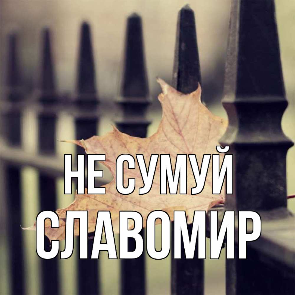 Открытка на каждый день з підписом, Славомир Не сумуй лист клена Прикольна листівка з побажанням онлайн скачати безкоштовно 