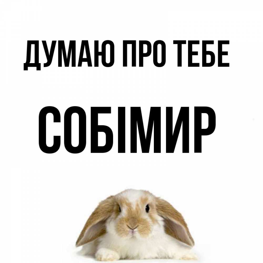 Открытка на каждый день з підписом, Собімир Думаю про тебе подписать своими руками онлайн Прикольна листівка з побажанням онлайн скачати безкоштовно 