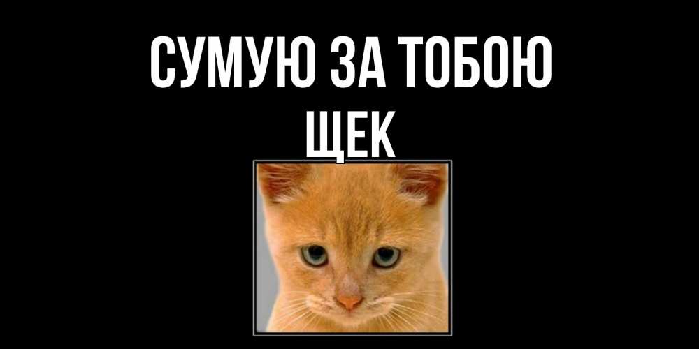 Открытка на каждый день з підписом, Щек Сумую за тобою открытки рыжий котенок скучает по тебе Прикольна листівка з побажанням онлайн скачати безкоштовно 