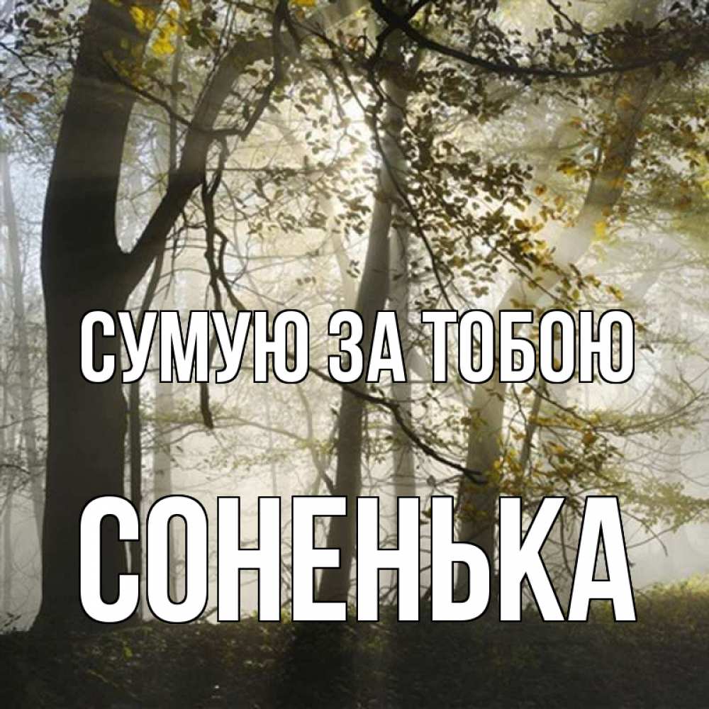 Открытка на каждый день з підписом, Соненька Сумую за тобою грустно Прикольна листівка з побажанням онлайн скачати безкоштовно 