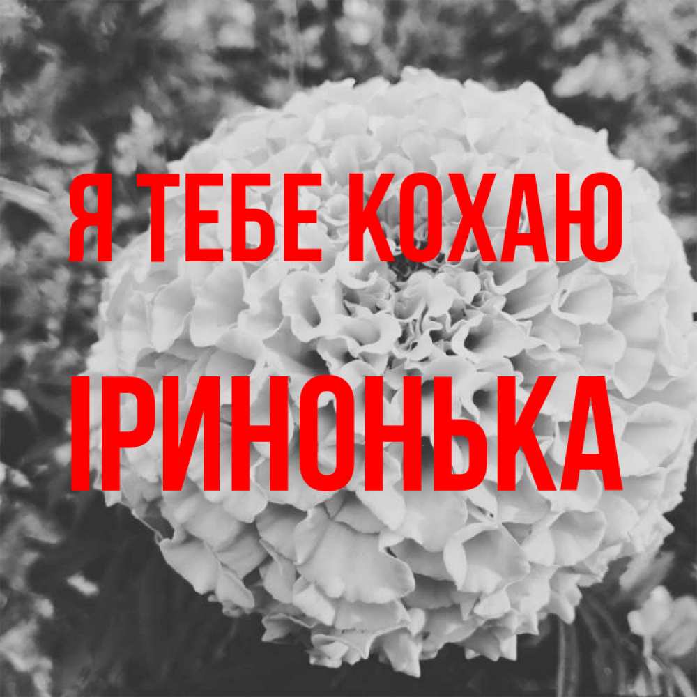 Открытка на каждый день з підписом, Іринонька Я тебе кохаю подпись Прикольна листівка з побажанням онлайн скачати безкоштовно 