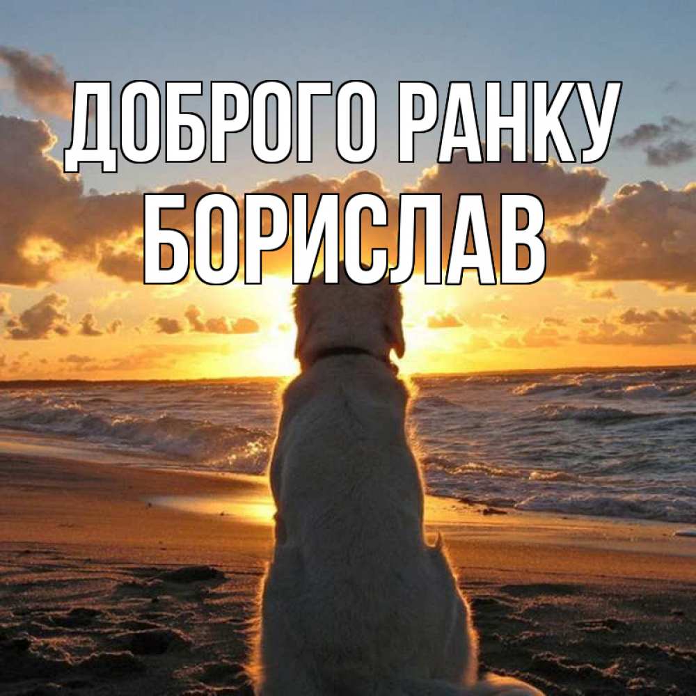 Открытка на каждый день з підписом, Борислав Доброго ранку восход солнца Прикольна листівка з побажанням онлайн скачати безкоштовно 