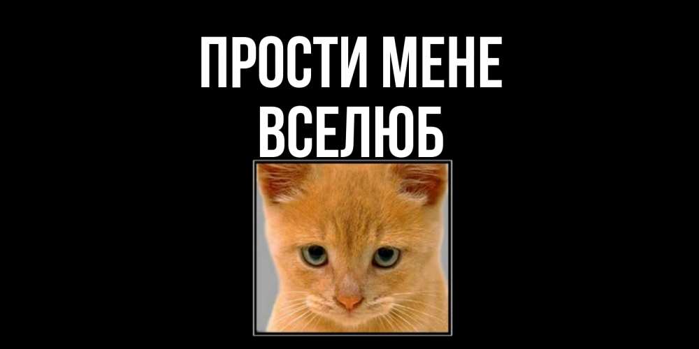 Открытка на каждый день з підписом, Вселюб Прости мене рыжий грустный кот просит прощения Прикольна листівка з побажанням онлайн скачати безкоштовно 
