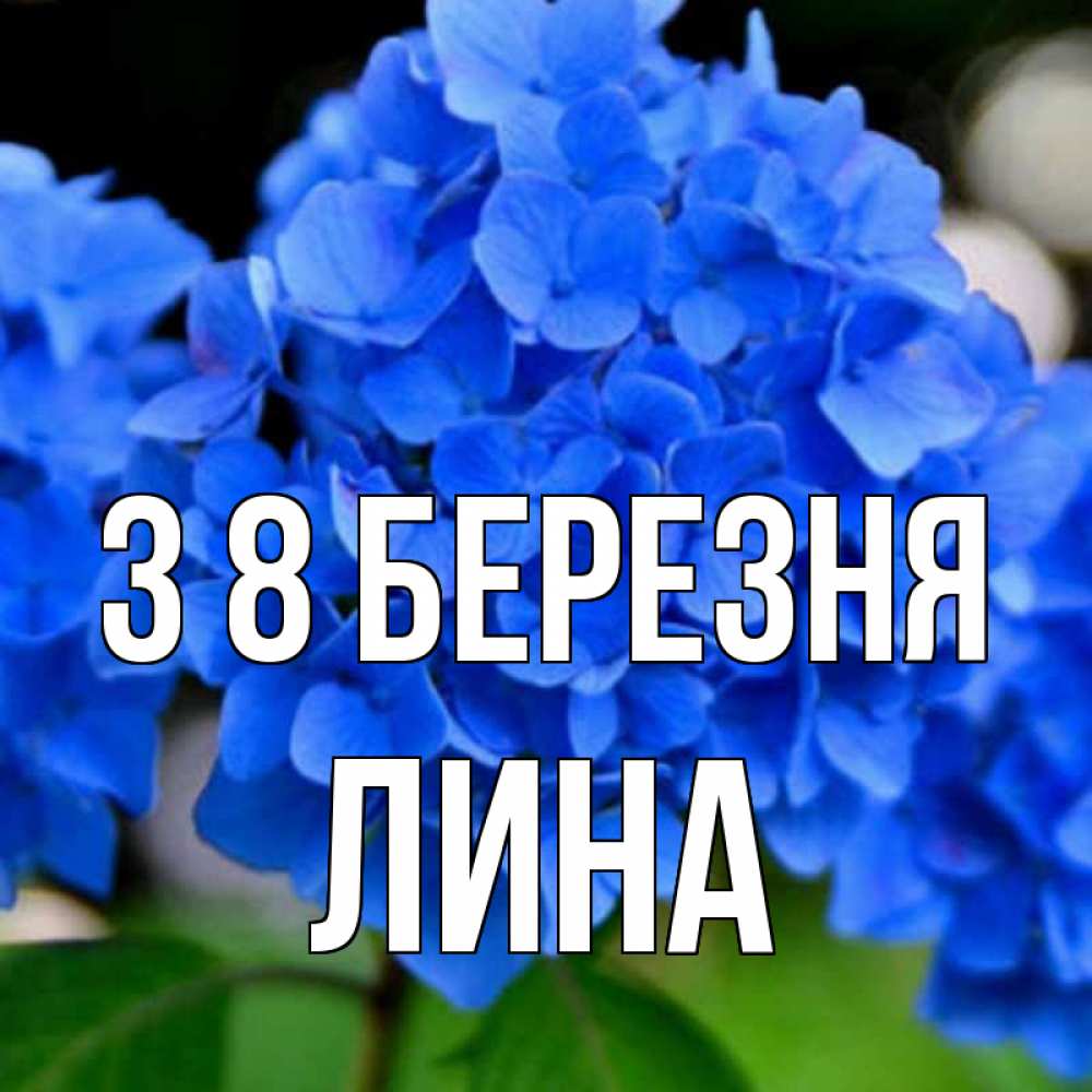 Открытка на каждый день з підписом, Лина З 8 БЕРЕЗНЯ синие цветы Прикольна листівка з побажанням онлайн скачати безкоштовно 