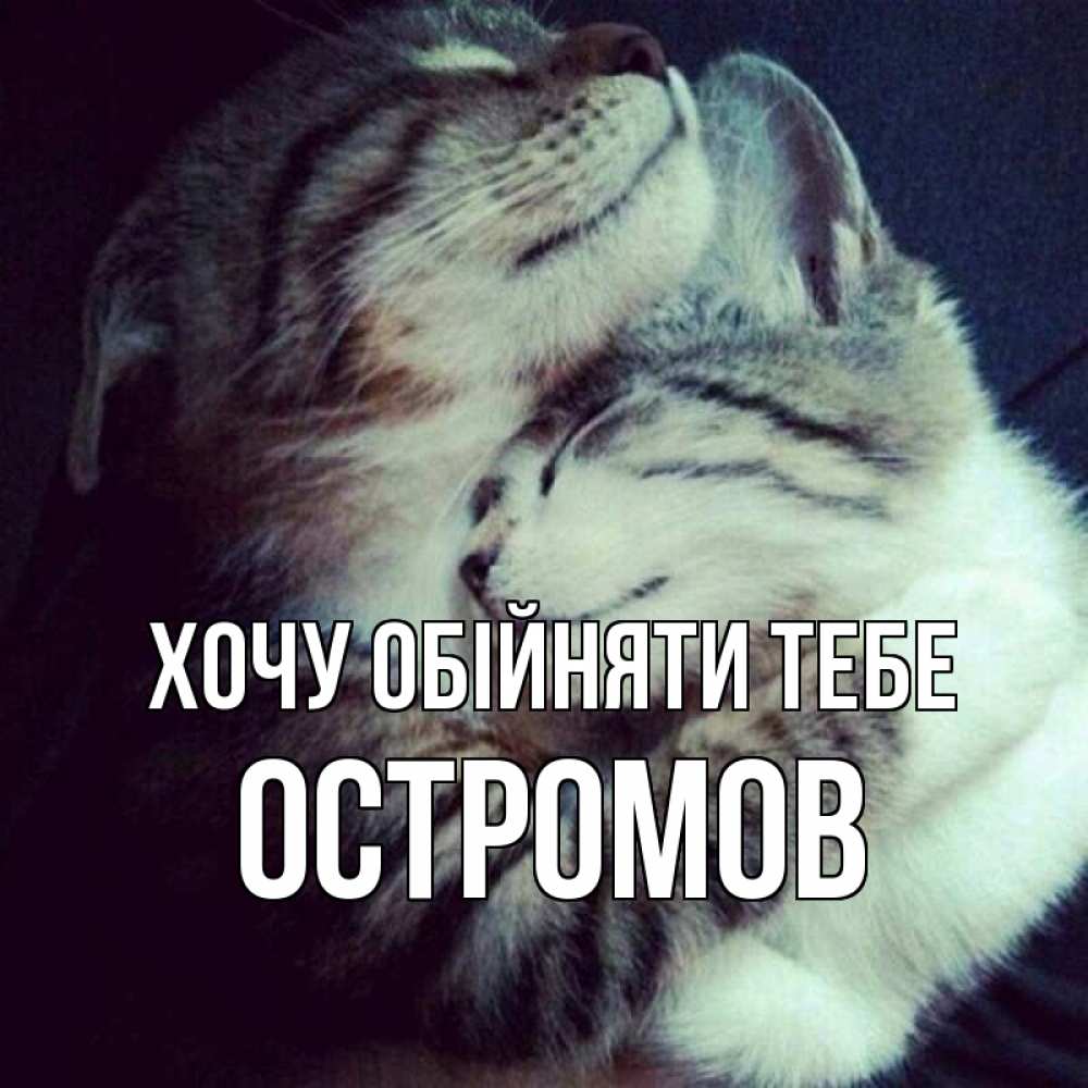 Открытка на каждый день з підписом, Остромов Хочу обійняти тебе полосатики Прикольна листівка з побажанням онлайн скачати безкоштовно 