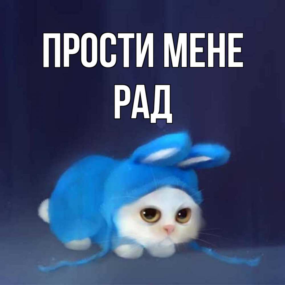 Открытка на каждый день з підписом, Рад Прости мене невинный котозай просит прощения Прикольна листівка з побажанням онлайн скачати безкоштовно 