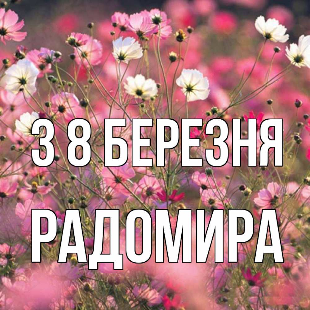 Открытка на каждый день з підписом, Радомира З 8 БЕРЕЗНЯ красиво 1 Прикольна листівка з побажанням онлайн скачати безкоштовно 