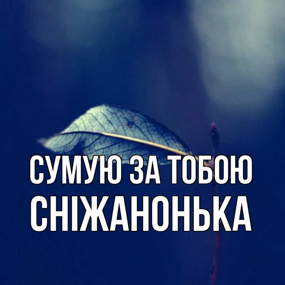 Открытка на каждый день з підписом, Сніжанонька Сумую за тобою одна ветка 1 Прикольна листівка з побажанням онлайн скачати безкоштовно 
