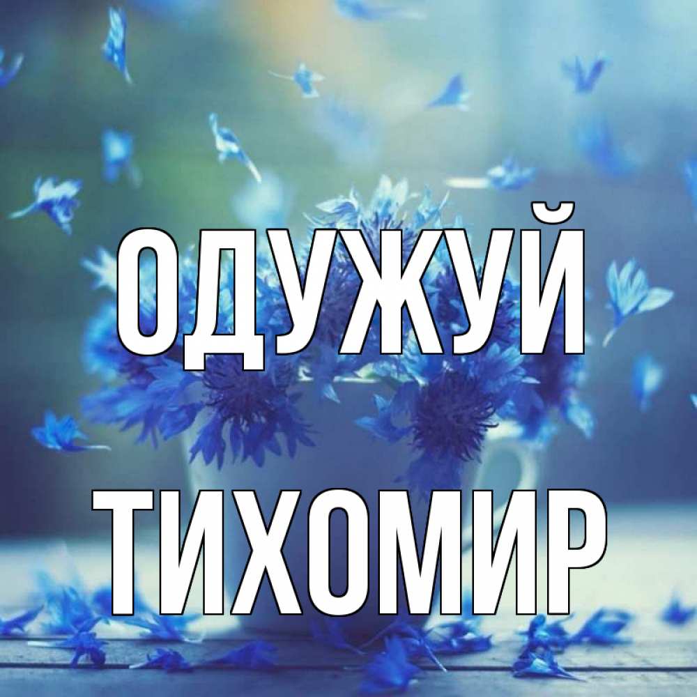 Открытка на каждый день з підписом, Тихомир Одужуй кружка с зельем и цветами Прикольна листівка з побажанням онлайн скачати безкоштовно 