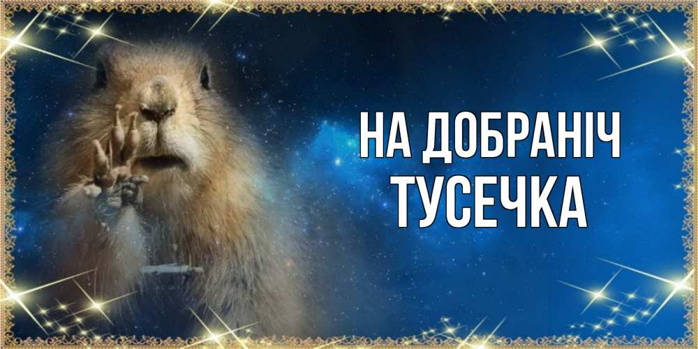 Открытка на каждый день з підписом, Тусечка На добраніч спокойной ночи сладких снов Прикольна листівка з побажанням онлайн скачати безкоштовно 