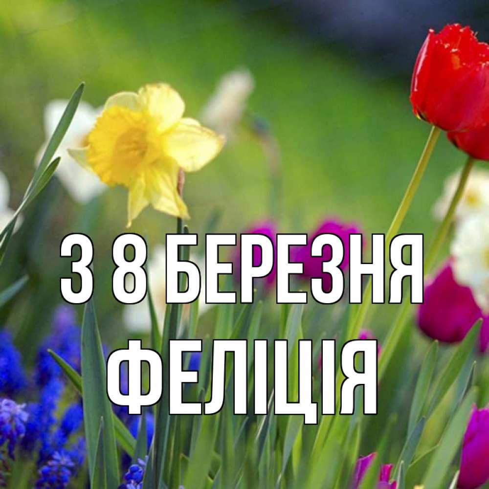 Открытка на каждый день з підписом, Феліція З 8 БЕРЕЗНЯ международный женский день 3 Прикольна листівка з побажанням онлайн скачати безкоштовно 