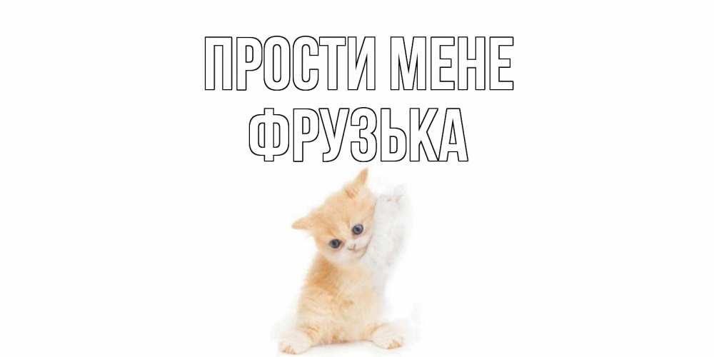 Открытка на каждый день з підписом, Фрузька Прости мене кот Прикольна листівка з побажанням онлайн скачати безкоштовно 