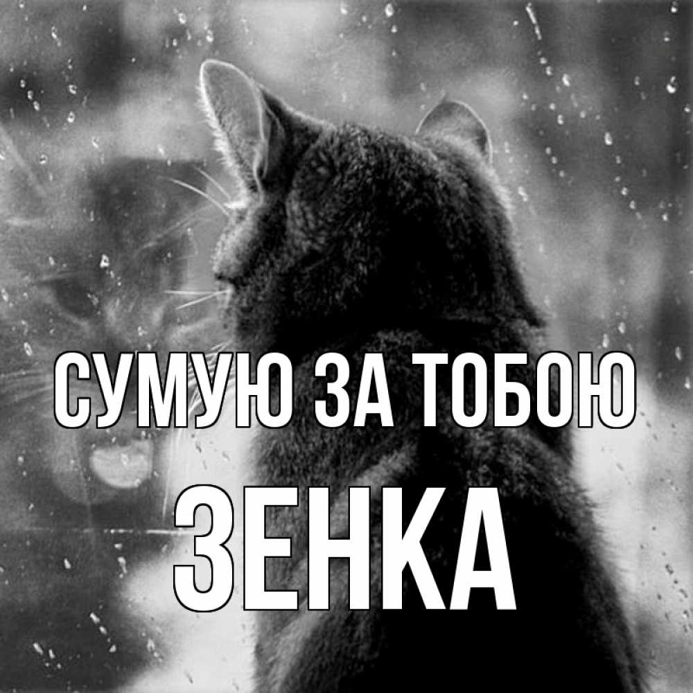 Открытка на каждый день з підписом, Зенка Сумую за тобою скорее ко мне приходи 1 Прикольна листівка з побажанням онлайн скачати безкоштовно 