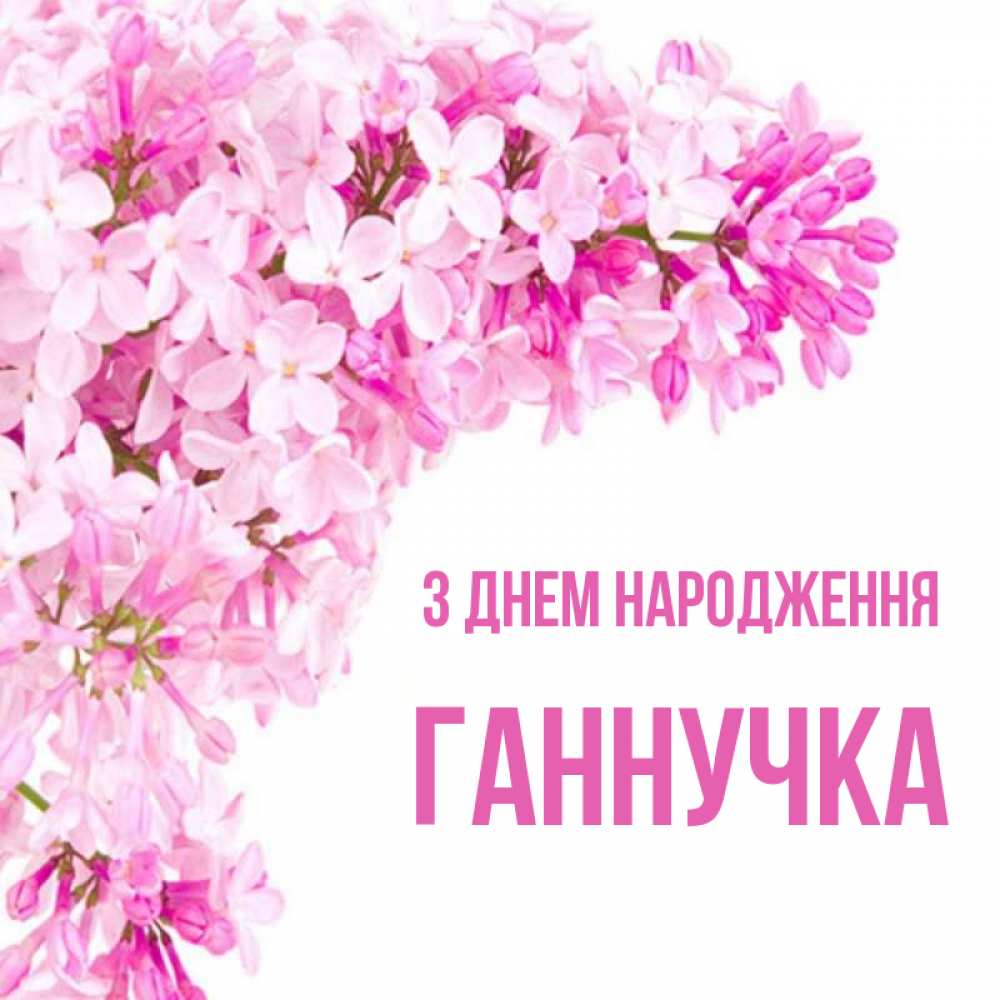 Открытка на каждый день з підписом, Ганнучка З Днем народження Сирень на белом фоне Прикольна листівка з побажанням онлайн скачати безкоштовно 