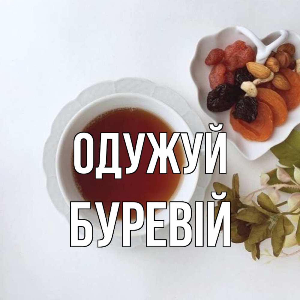 Открытка на каждый день з підписом, Буревій Одужуй неизвестные растения Прикольна листівка з побажанням онлайн скачати безкоштовно 