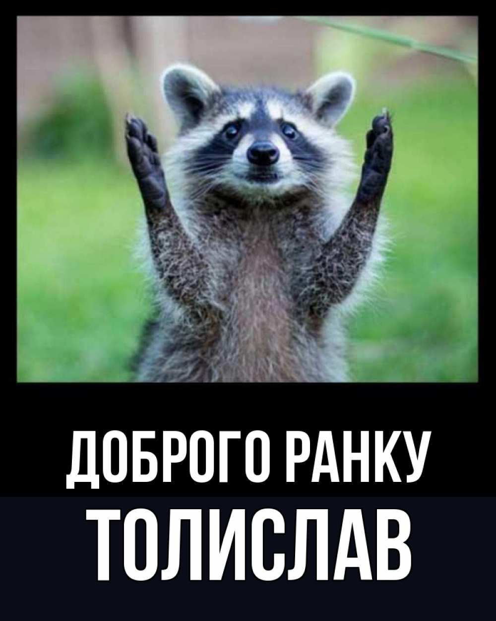 Открытка на каждый день з підписом, Толислав Доброго ранку хорошее настроение утречком Прикольна листівка з побажанням онлайн скачати безкоштовно 