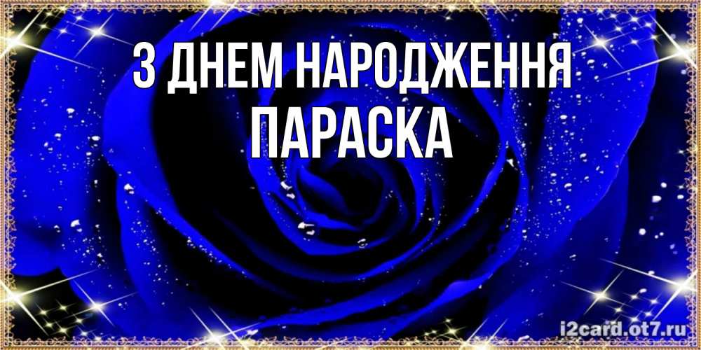 Открытка на каждый день з підписом, Параска З Днем народження голубые цветы в росе Прикольна листівка з побажанням онлайн скачати безкоштовно 