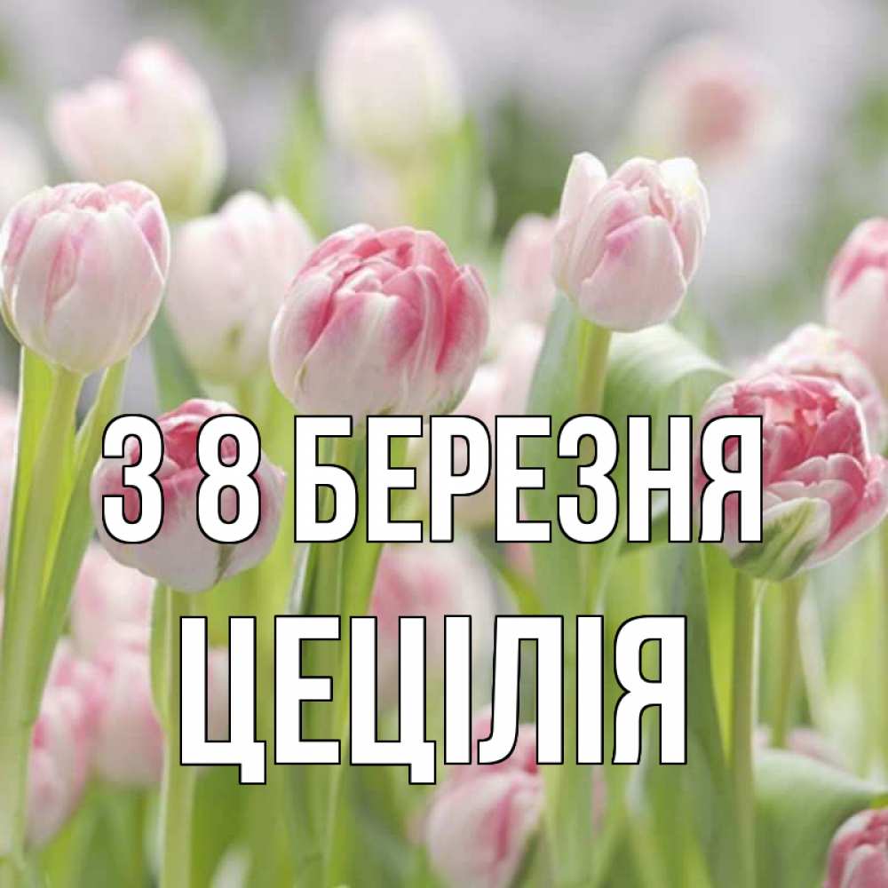 Открытка на каждый день з підписом, Цецілія З 8 БЕРЕЗНЯ цветы Прикольна листівка з побажанням онлайн скачати безкоштовно 