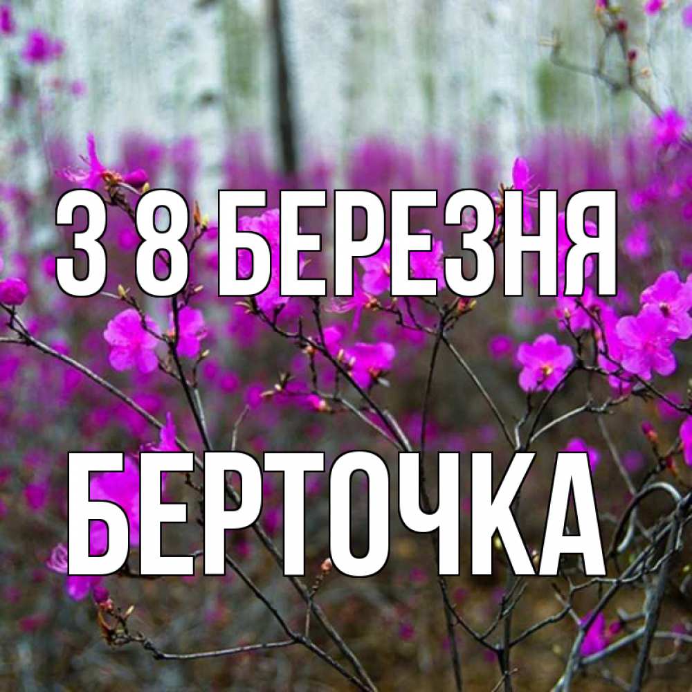 Открытка на каждый день з підписом, Берточка З 8 БЕРЕЗНЯ дикие цветы Прикольна листівка з побажанням онлайн скачати безкоштовно 
