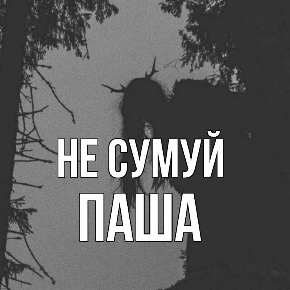 Открытка на каждый день з підписом, Паша Не сумуй чудище лесное Прикольна листівка з побажанням онлайн скачати безкоштовно 