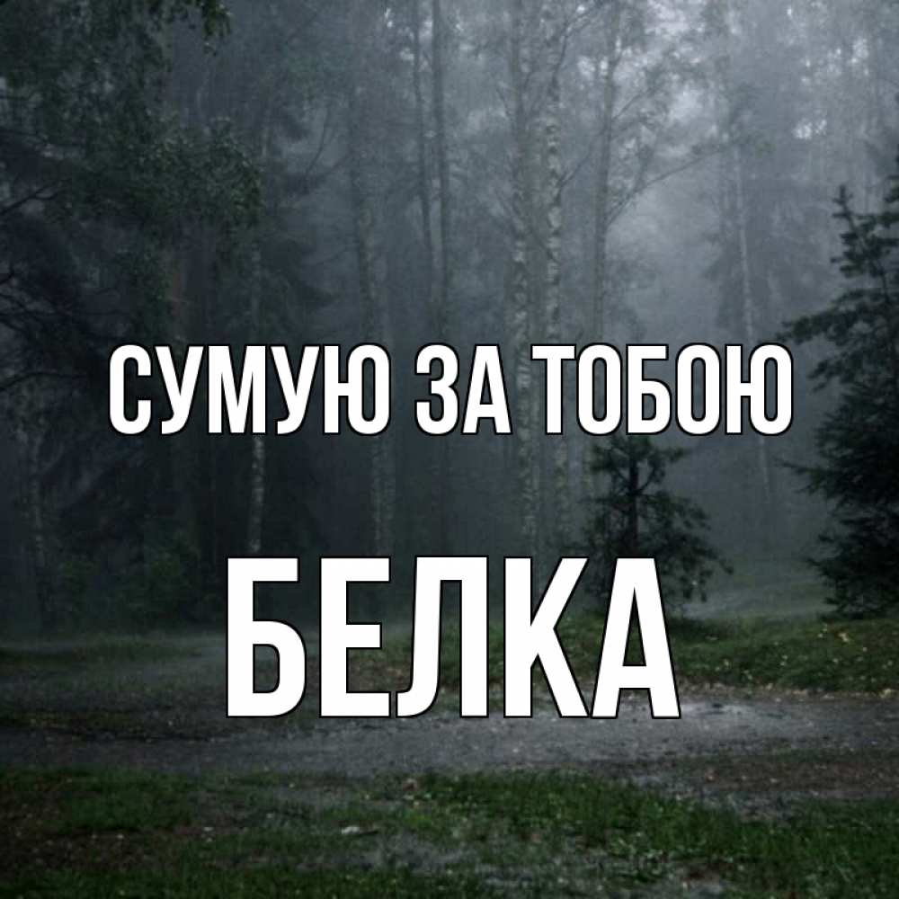Открытка на каждый день з підписом, Белка Сумую за тобою одна и плохо мне Прикольна листівка з побажанням онлайн скачати безкоштовно 