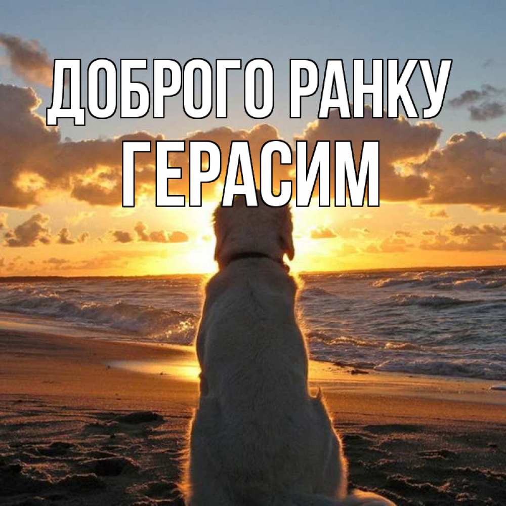 Открытка на каждый день з підписом, Герасим Доброго ранку восход солнца Прикольна листівка з побажанням онлайн скачати безкоштовно 