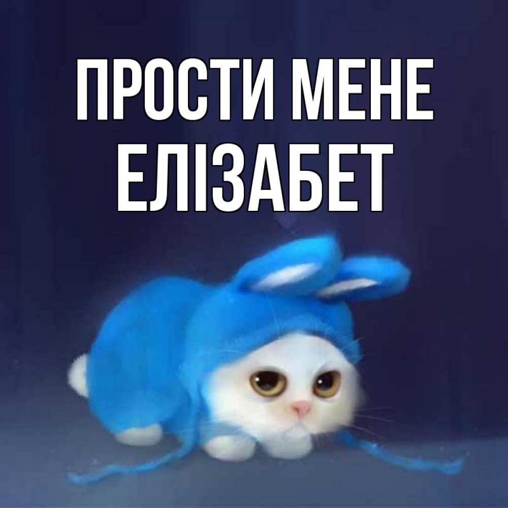Открытка на каждый день з підписом, Елізабет Прости мене невинный котозай просит прощения Прикольна листівка з побажанням онлайн скачати безкоштовно 