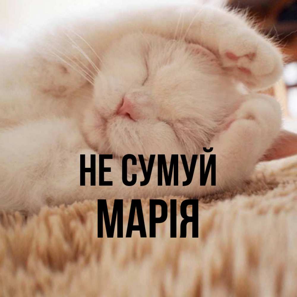 Открытка на каждый день з підписом, Марія Не сумуй Котенок спит Прикольна листівка з побажанням онлайн скачати безкоштовно 